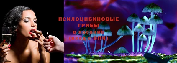 ГАЛЛЮЦИНОГЕННЫЕ ГРИБЫ Семилуки