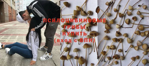 ГАЛЛЮЦИНОГЕННЫЕ ГРИБЫ Семилуки
