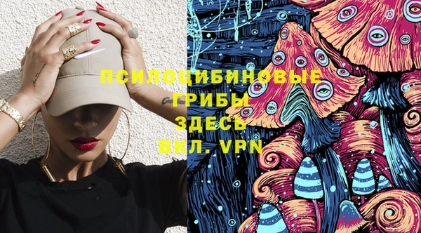 индика Заводоуковск