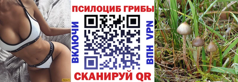 Псилоцибиновые грибы прущие грибы  Егорьевск 