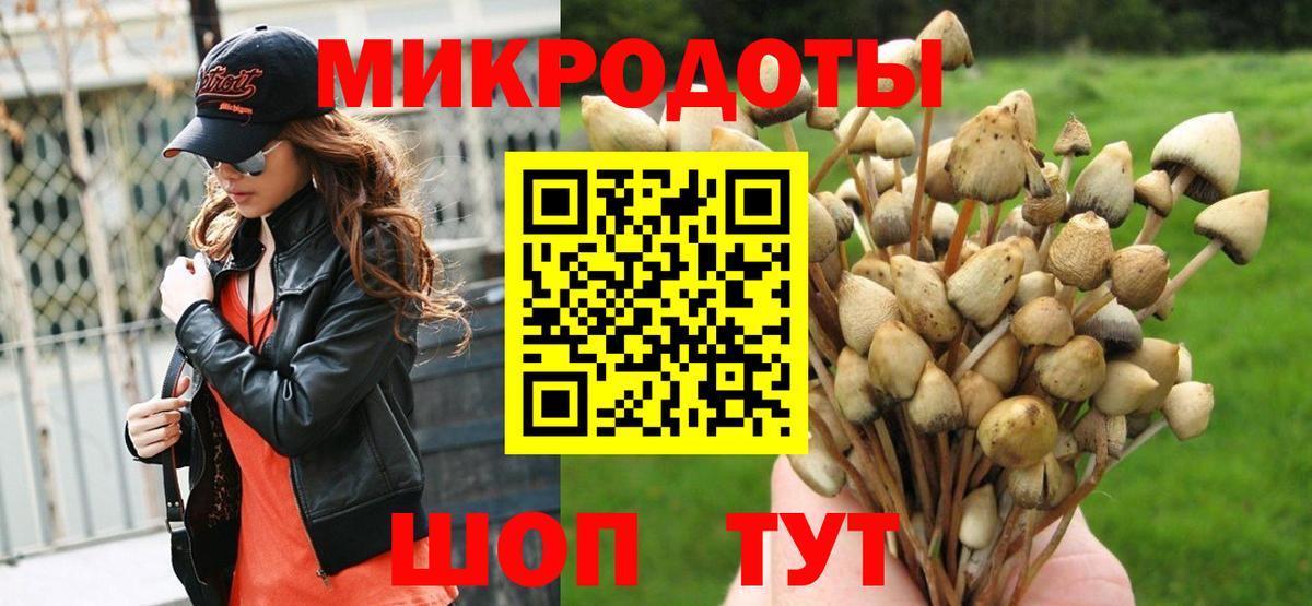 Галлюциногенные грибы прущие грибы Егорьевск