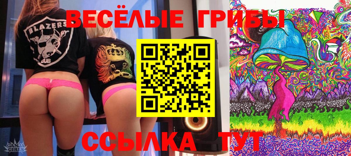 Псилоцибиновые грибы Cubensis  Галлюциногенные грибы GOLDEN TEACHER  Вход с VPN  Егорьевск 
